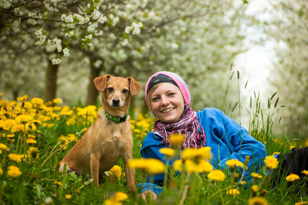 team, woman, dog